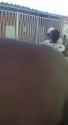 847 KB