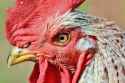 74 KB