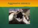 922 KB