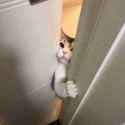 35 KB