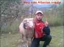 105 KB