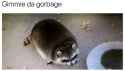 337 KB