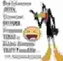 43 KB