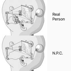 56 KB
