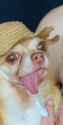 78 KB