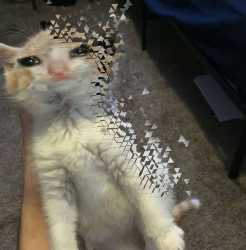 110 KB