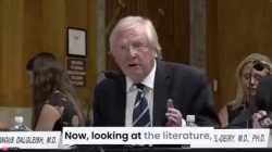 2.6 MB