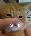 58 KB