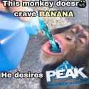 456 KB