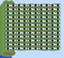 197 KB