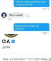 141 KB