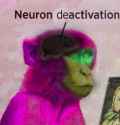 24 KB