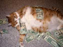 59 KB