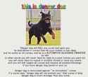 197 KB