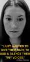 53 KB