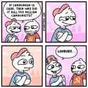 113 KB