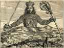 1.01 MB