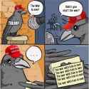 234 KB