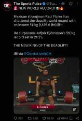 489 KB