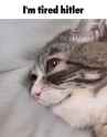 45 KB