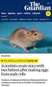 172 KB