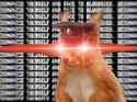 13 KB