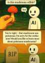 93 KB