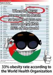 78 KB