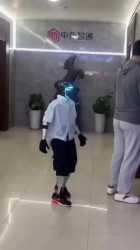 294 KB