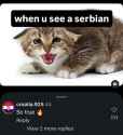 195 KB