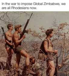 252 KB