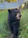 196 KB