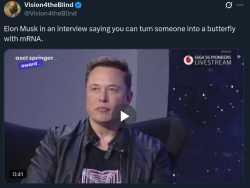 263 KB