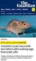 2 KB