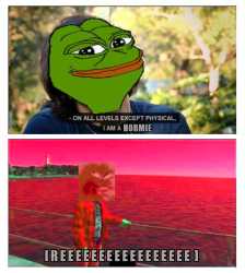 461 KB