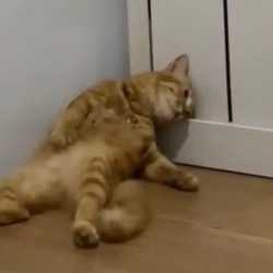 13 KB