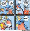 893 KB