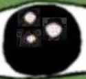 195 KB