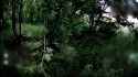 3.68 MB