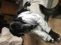 1.95 MB