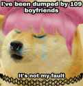 114 KB