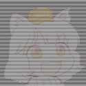 79 KB