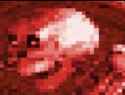 155 KB