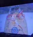 3.9 MB
