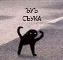 407 KB