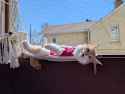 2.16 MB