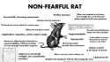 257 KB