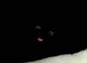 14 KB