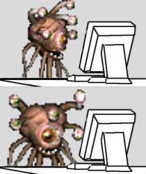 44 KB