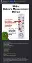 794 KB